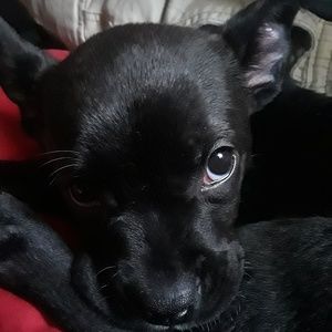 Meet your Posher, Kait